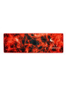 RIOTORO VYRON SMOKEY BULL XL