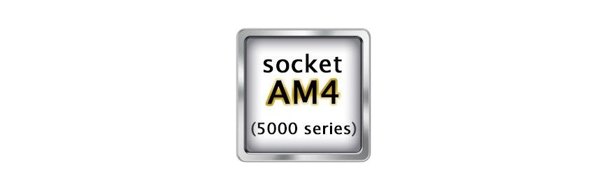 AMD Serie 5000 